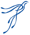 Feniks logo