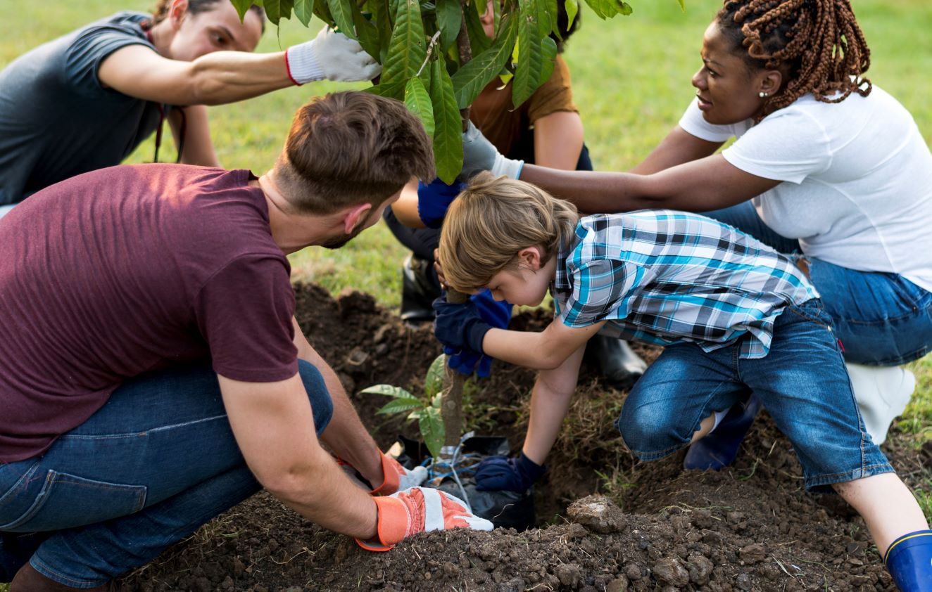 Planting